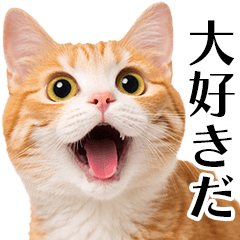 [LINEスタンプ] 愛を叫ぶ猫