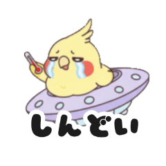 [LINEスタンプ] 宇宙✕インコ 地球のルールワカラナイ