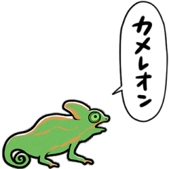 [LINEスタンプ] しゃべるカメレオン